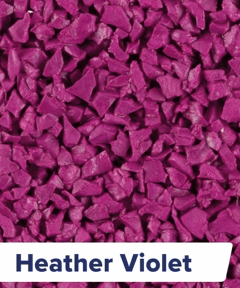 Heather Violet